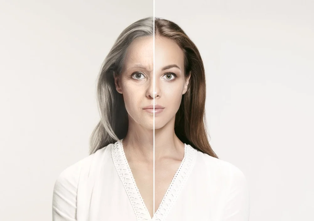 Soft powder brows permanent makeup closeup at RH Beauty Lounge